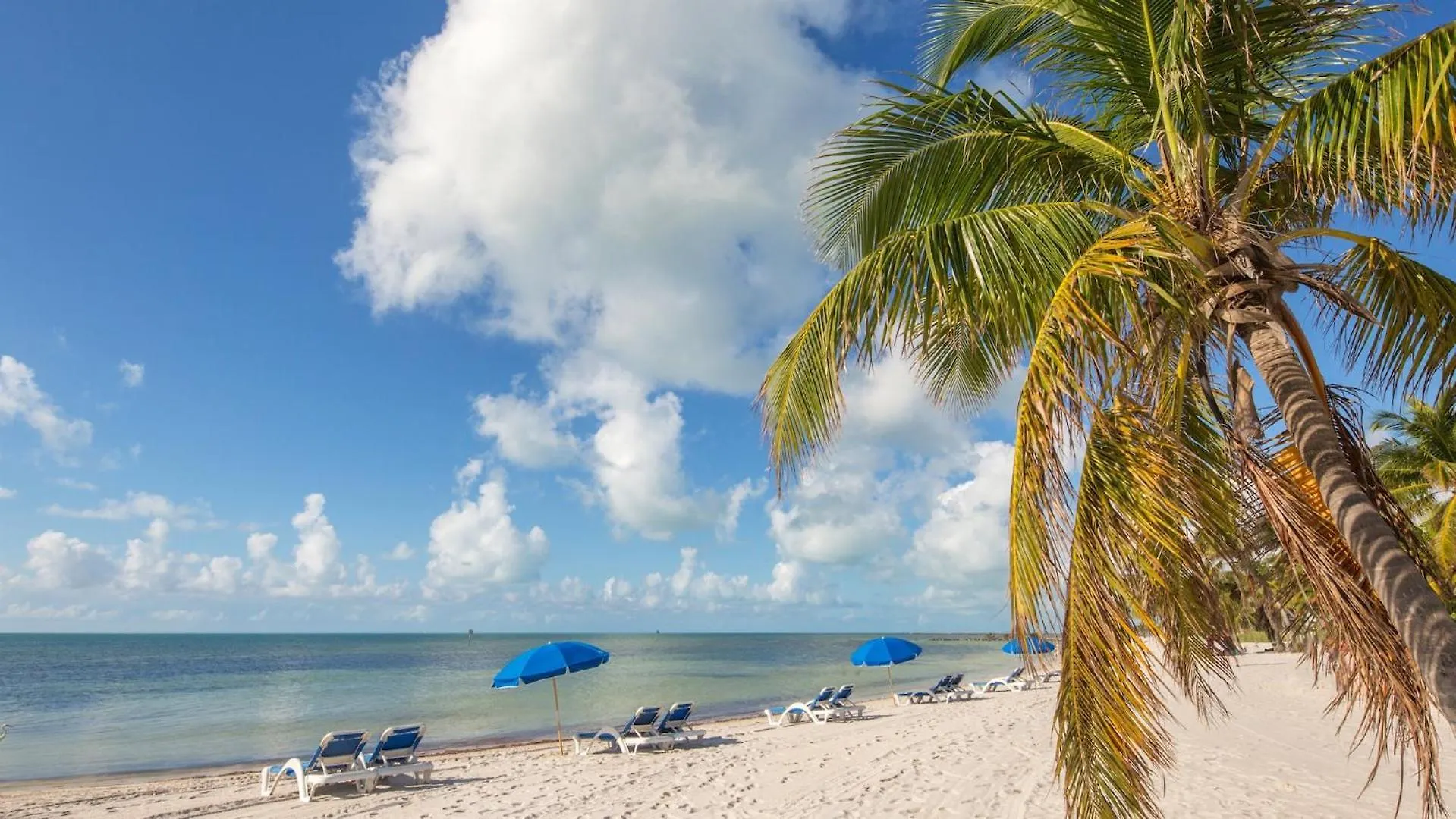 Sundrenched Reflections By Last Key Realty Key West Verenigde Staten