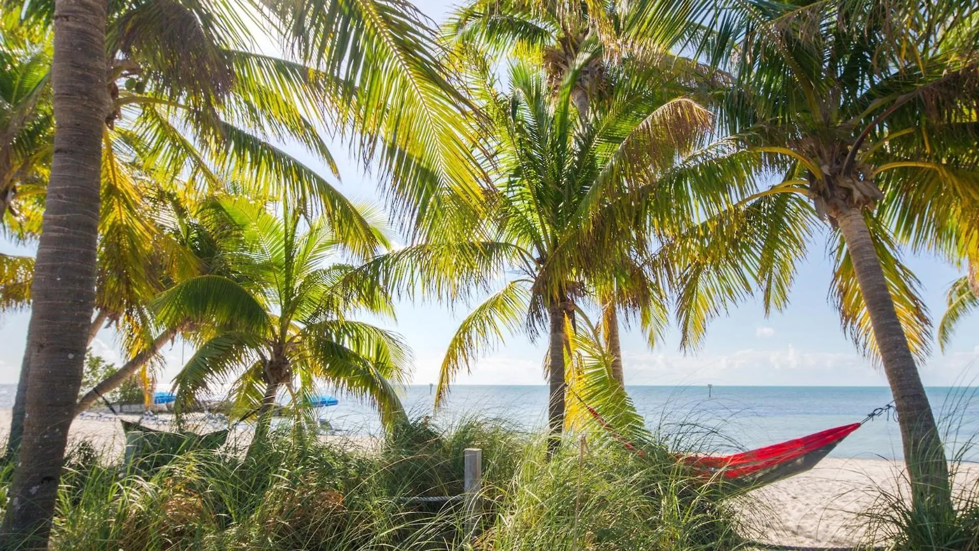 Sundrenched Reflections By Last Key Realty Key West