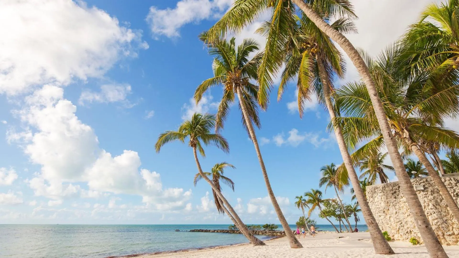 Apartment Sundrenched Reflections By Last Key Realty Key West United States